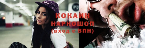 стафф Арсеньев