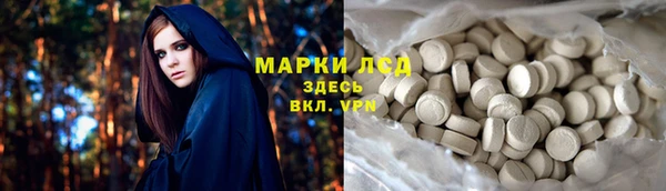 трава Аркадак