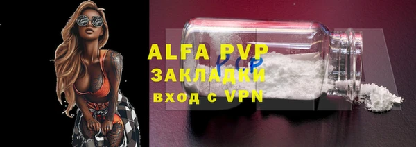 стафф Арсеньев